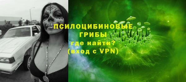 сатива Аркадак