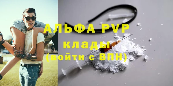 сатива Аркадак