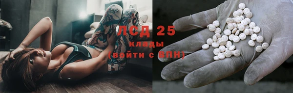 трава Арсеньев