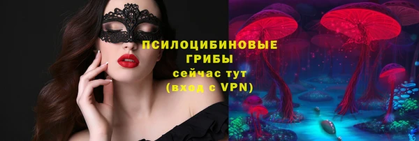сатива Аркадак