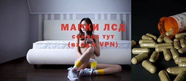 сатива Аркадак