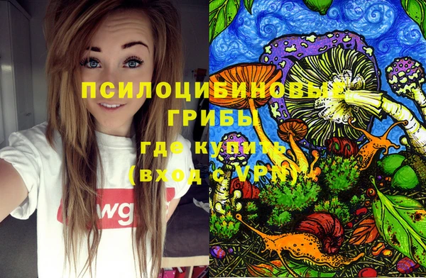 трава Арсеньев