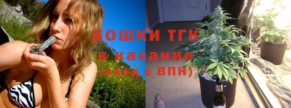 сатива Аркадак