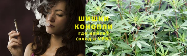 mdpv Ельня