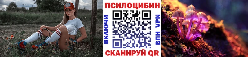 Галлюциногенные грибы MAGIC MUSHROOMS  купить   Мамадыш 